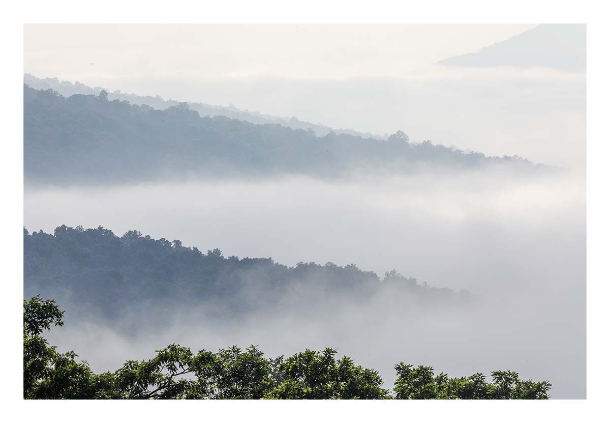 Shenandoah NP